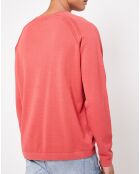 Pull Dahul col rond corail